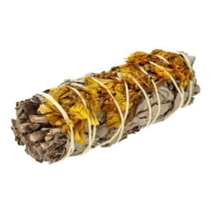 Biała Szałwia z żółtą sinuatą (20-30 g)