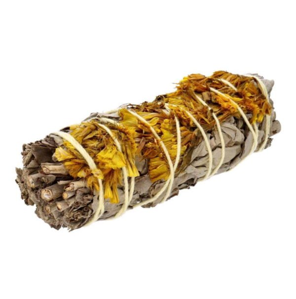Biała Szałwia z żółtą sinuatą (20-30 g)